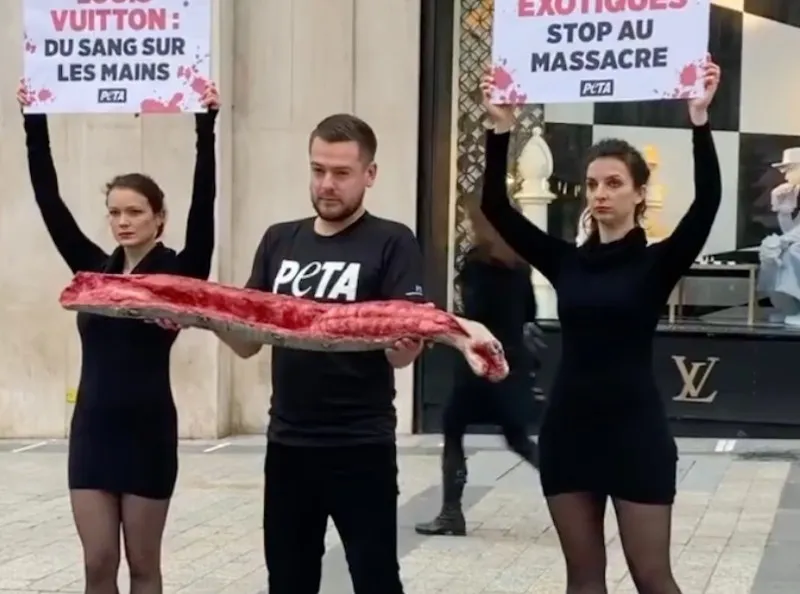 CHOC ! Jeremstar: En sang avec un cadavre de serpent devant le magasin Louis Vuitton des Champs Elysées