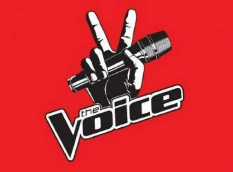 Résultat de recherche d'images pour "the voice"